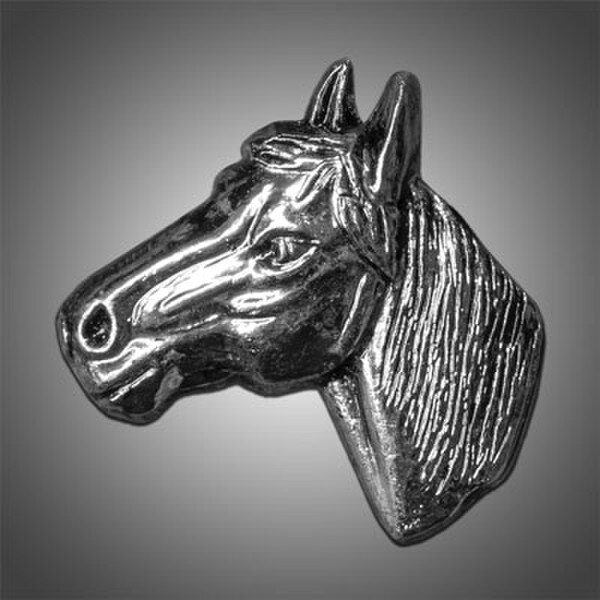 011-742102.SLC.jpg ConchoHorse Head LeftSP Image