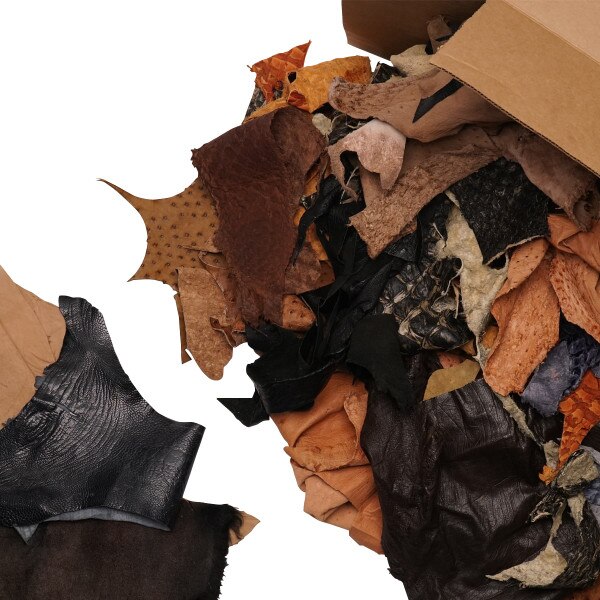 Exotic Leather Remnants  Exotic Leather Scraps – AMTAN