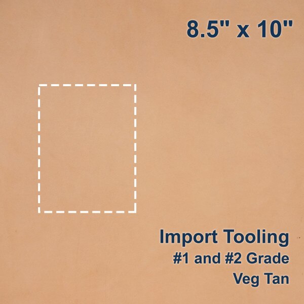100-B.SLC.1.jpg 8.5" x 10" Import Tooling Pre-Cut Image