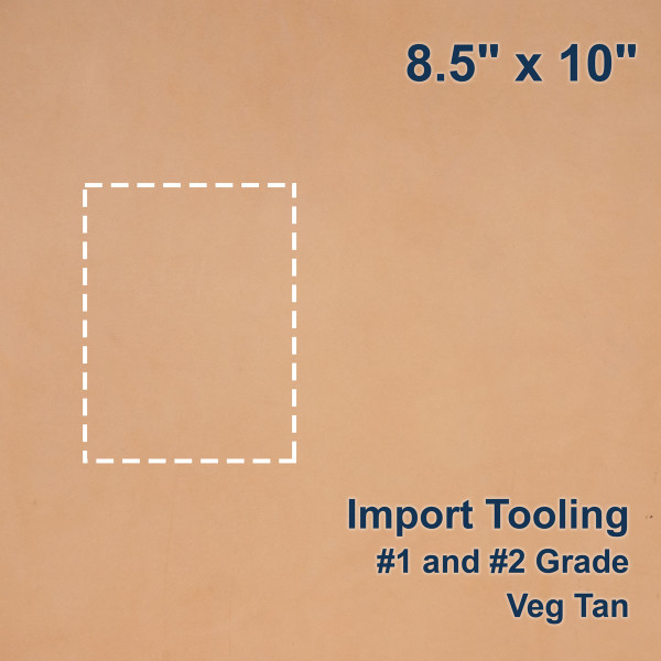 100-B.SLC.1.jpg Import Tooling Pre-Cut - 8.5" x 10" Image