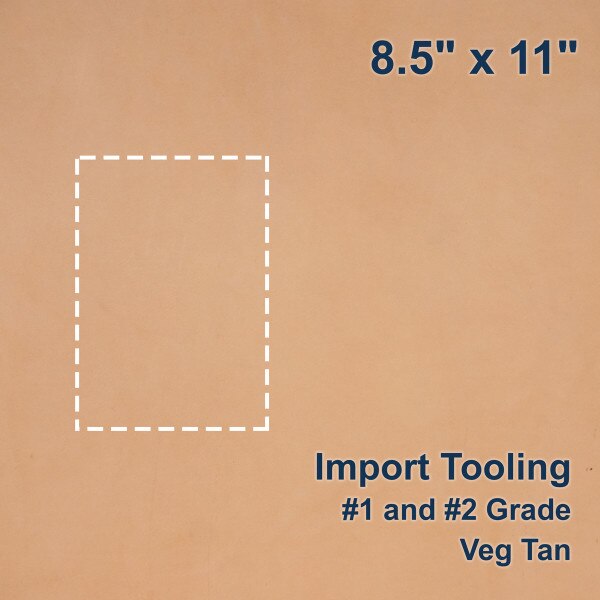 100-G.SLC.1.jpg 8.5" x 11" Import Tooling Pre-Cut Image