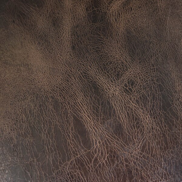 133-422502.SLC.4.jpg 24"x24" Brown Buffalo Pre-Cut Image
