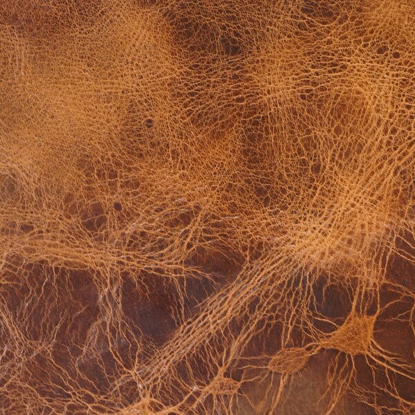 133-422505.SLC.4.jpg 24"x24" Vintage Tan Buffalo Pre-Cut Image