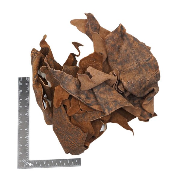 144-88812.SLC.1.jpg 2lbs Giraffe Leather Scrap Image