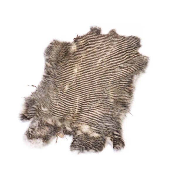 22-1150.SLC.01.jpg Striped Rabbit Skin Image