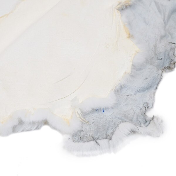 22-260500.SLC.3.jpg White Rabbit Skin Image