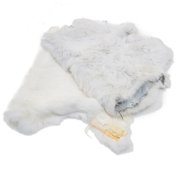 22-260500.SLC.4.jpg White Rabbit Skin Image