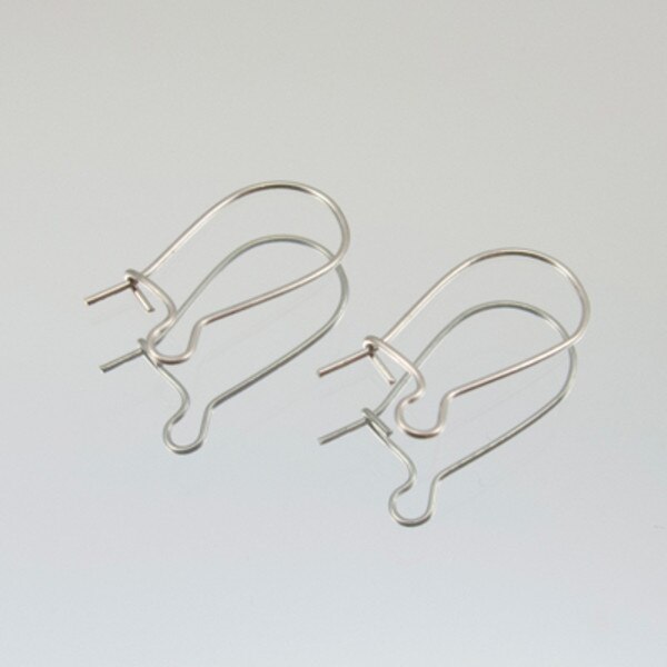 222-50201.SLC.jpg 6pk Kidney Earwire - Silver Plate Image