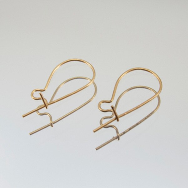 222-50202.SLC.jpg EarwireKidneyGp6pk Image