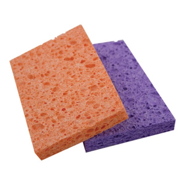 304-344700.SLC.jpg Sponge Image