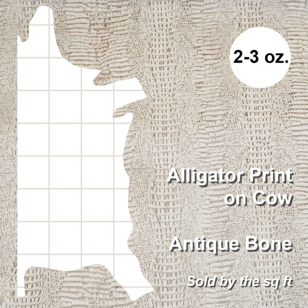 371-17904.SLC.4.jpg Side Embossed Gator on Cow - AntBone Image