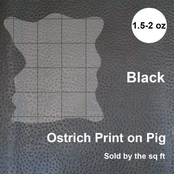 371-401.SLC.4.jpg PrintOstrichPigBlack Image