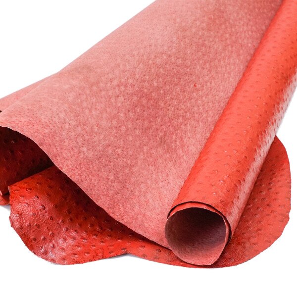 371-405.SLC.1.jpg PrintOstrichPigRed Image