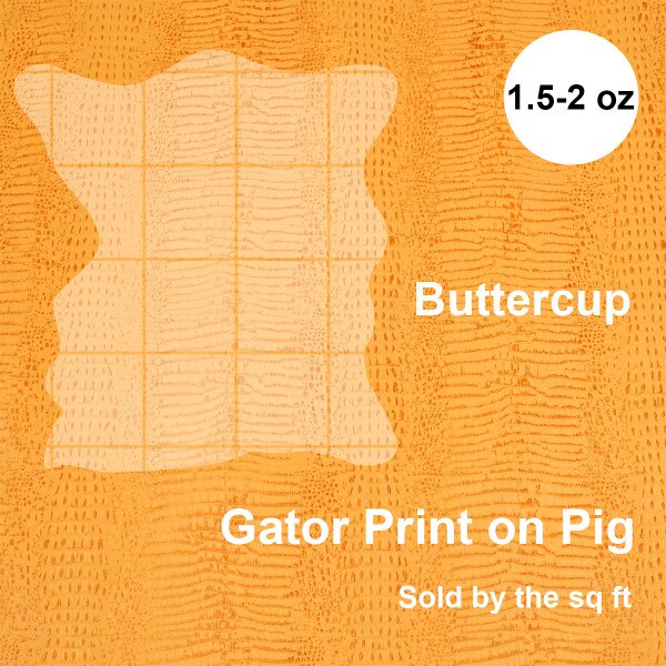 371-504.SLC.4.jpg PrintGatorPigButtercup Image