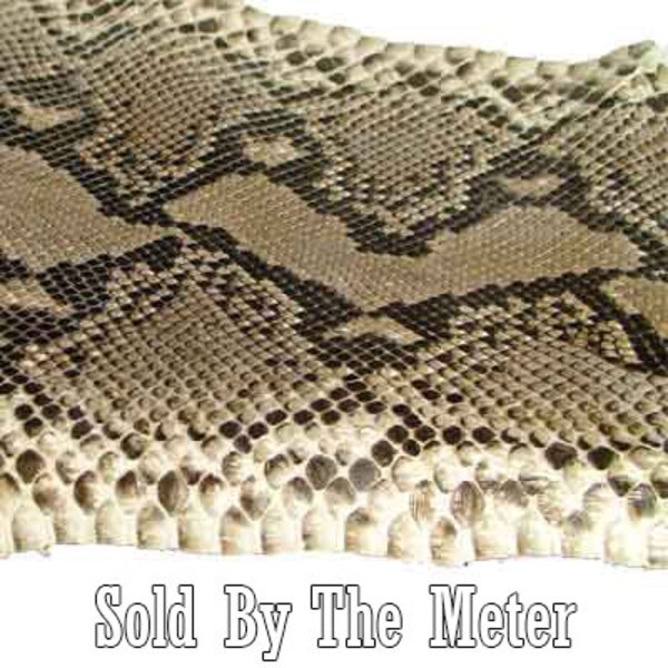 39-81002.SLC.jpg SnakePython#1Blk/WhtMeter Image