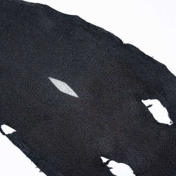 39-82009.SLC.1.jpg Black Stingray - Large Image
