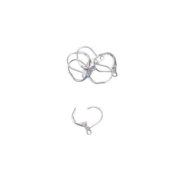 402-233.SLC.02.jpg EarwireLeverbackStainlessSteel6pk Image