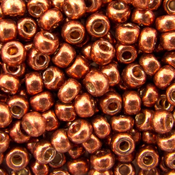 45-894212.SLC.jpg SeedBeadGalvDkBry8/022g Image
