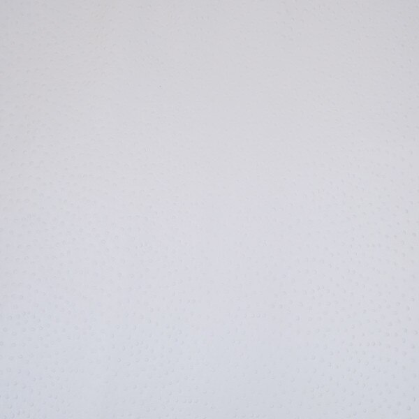 62-41.SLC.03.jpg Ostrich Print on Cow Sides - White Image