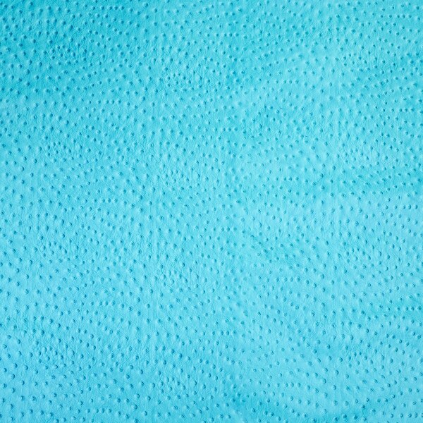 62-46.SLC.02.jpg Ostrich Print on Cow Sides - Turquoise Image