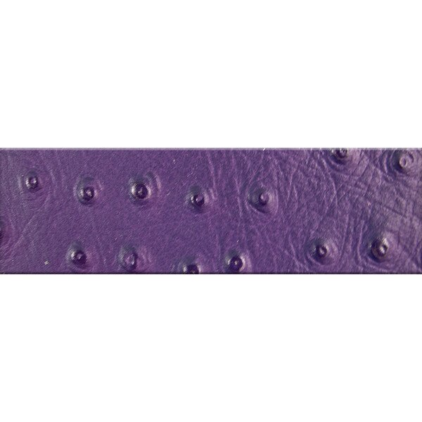 62-4915.SLC.jpg African Violet Ostrich Strip 3 1/2 Image
