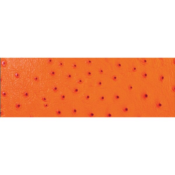 62-6815.SLC.1.jpg Orange Ostrich Strip 1 5/8 Image