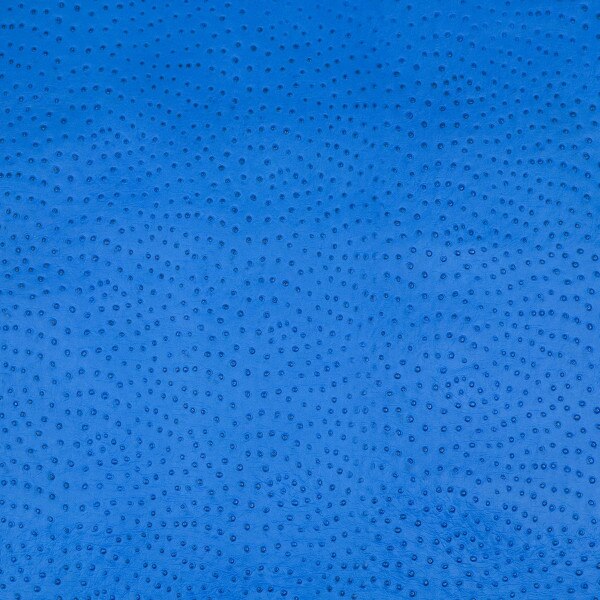 62-69.SLC.03.jpg Ostrich Print on Cow Sides - Royal Blue Image