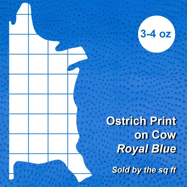 62-69.SLC.4.jpg Ostrich Print on Cow Sides - Royal Blue Image