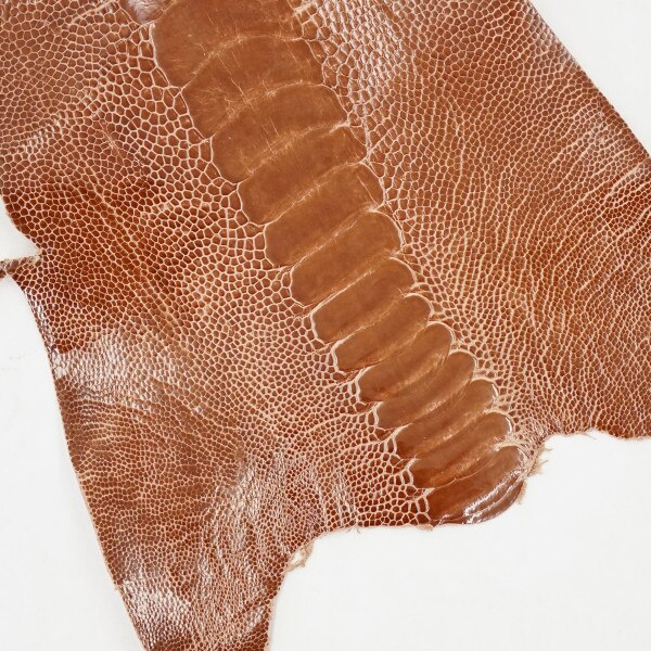 63-30510.SLC.1.jpg Ostrich Leg - Copper Image