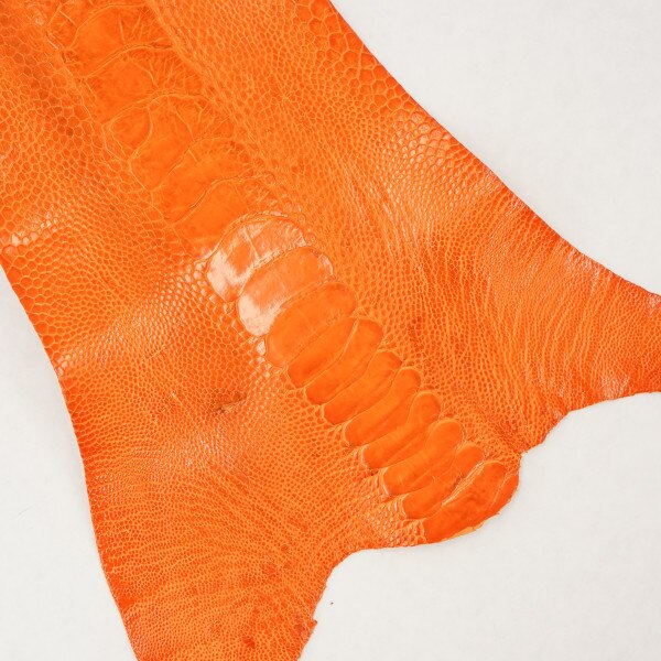 63-30515.SLC.1.jpg Ostrich Leg - Tangerine Image