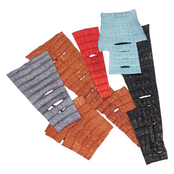 63-5972.SLC.01.jpg Low Grade Caiman Tails & Pieces Image