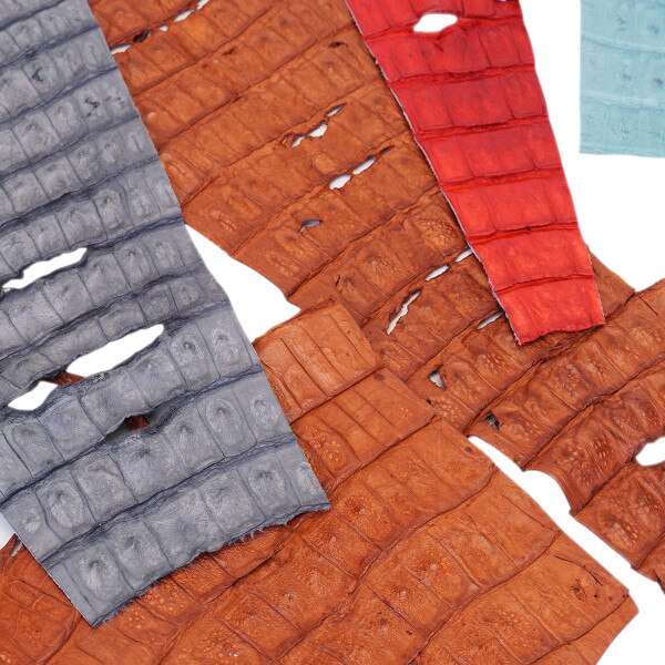 63-5972.SLC.02.jpg Low Grade Caiman Tails & Pieces Image