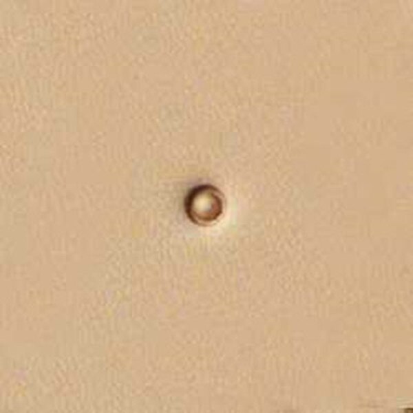 6632-00.SLC.jpg Stamping Tool - S632 Seeder Image
