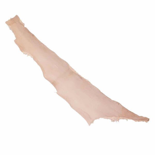 76-1754.SLC.02.jpg Shark Crust Strips Image