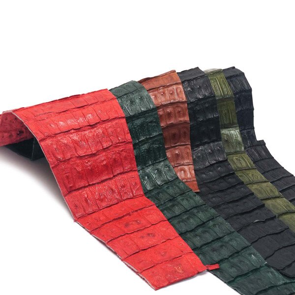 76-6.SLC.01.jpg Trimmed Caiman Tail - Assorted 5pk Image