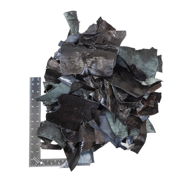 76-8.SLC.1.jpg 2 Pound Black Lizard Scrap Image