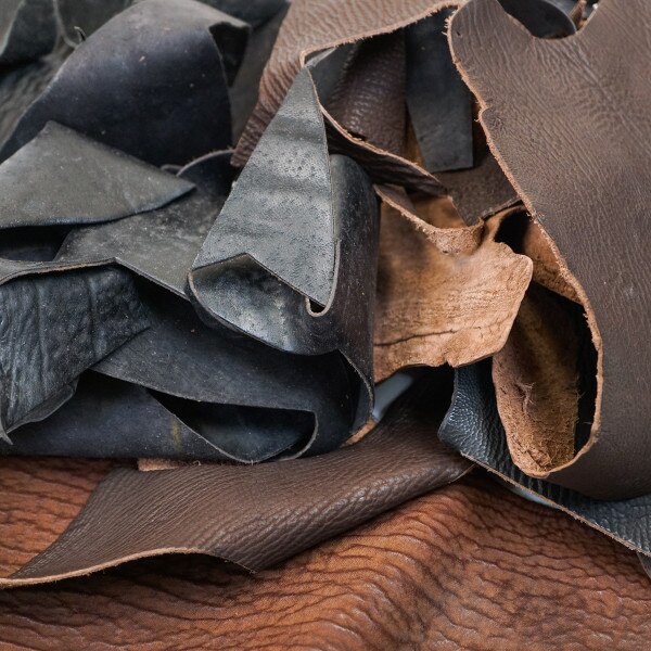 77-804.SLC.2.jpg Shark Remnants - Small Pieces 2 lbs Image
