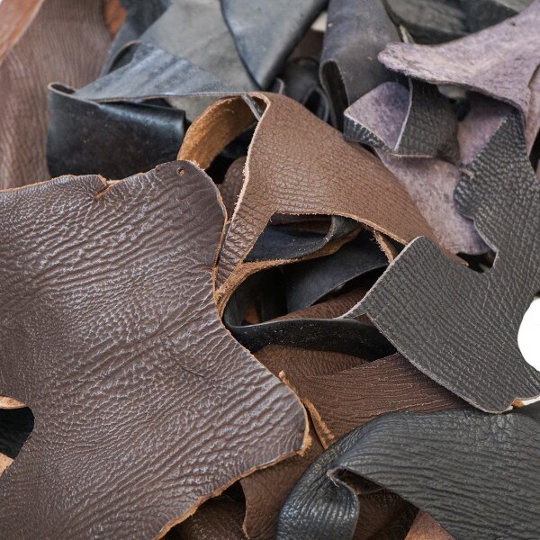 77-804.SLC.3.jpg Shark Remnants - Small Pieces 2 lbs Image