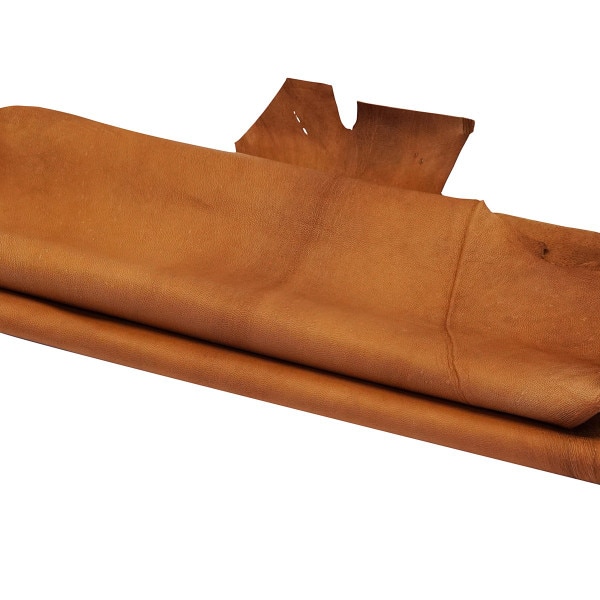 828-022.SLC.02.jpg Camel Goat Skin Image