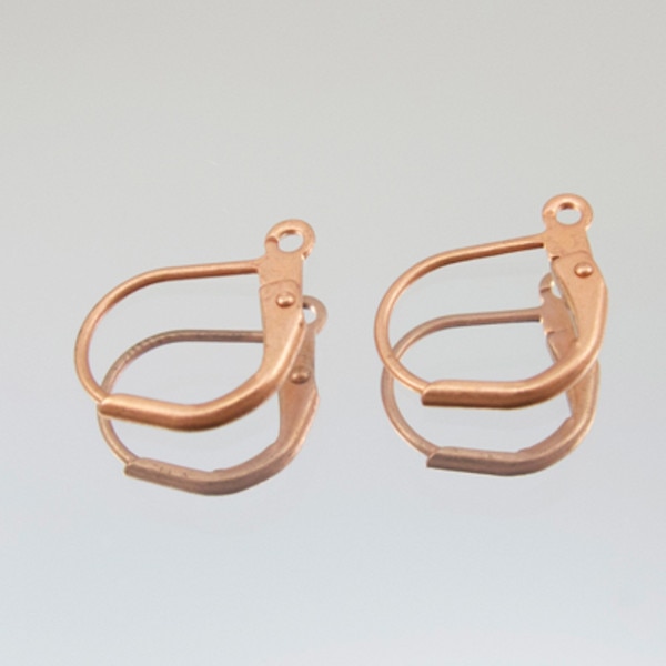 89-7536.SLC.jpg EarwireLeverbackAntqCpr6pk Image