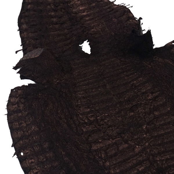 BCCS.Large.04.jpg Belly Cut Caiman Skins Image