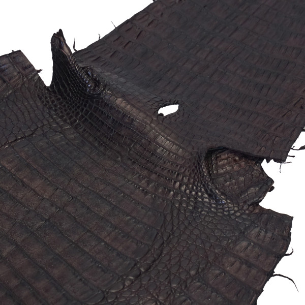 BCCS.Small.03.jpg Belly Cut Caiman Skins Image
