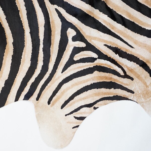 FSL-ZEBRA.SLC.2.jpg Rug Hair-On Zebra Print Image
