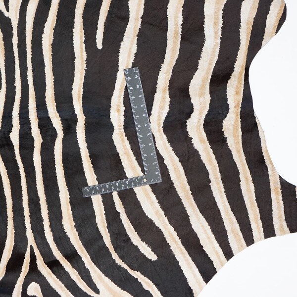 FSL-ZEBRA.SLC.3.jpg Rug Hair-On Zebra Print Image