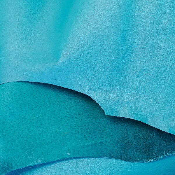 MPIG.Turquoise.03.jpg Mission Grain Pig Image