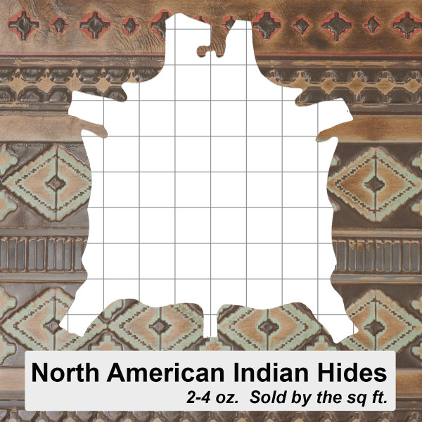NAIH.Tricolor.05.jpg North American Indian Sides Image
