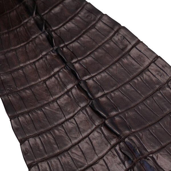 NCROC.Brown.Hornback.03.jpg Nile Crocodile Tails Image