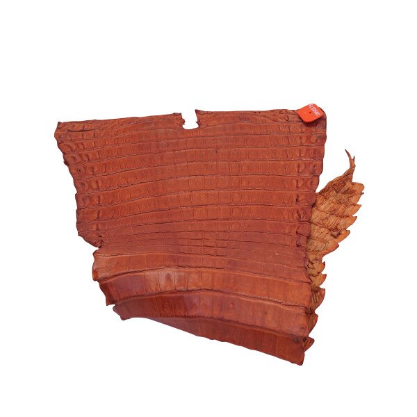 NCROC.Cognac.Belly.01.jpg Nile Crocodile Tails Image