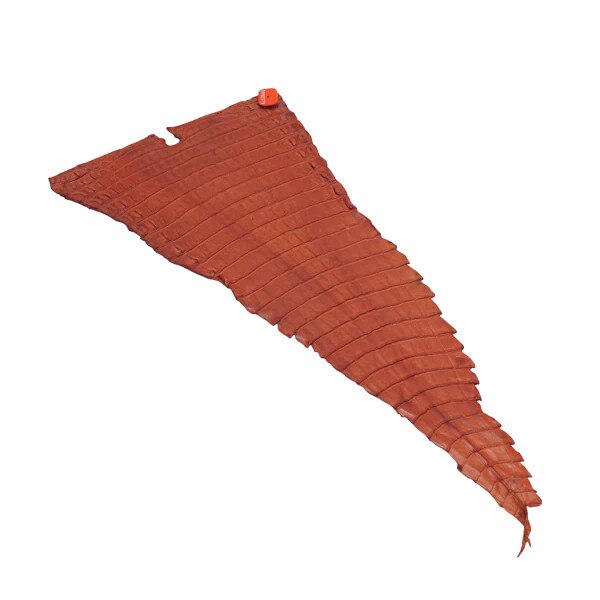 NCROC.Cognac.Belly.02.jpg Nile Crocodile Tails Image