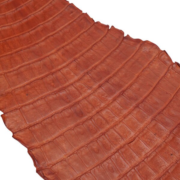 NCROC.Cognac.Belly.03.jpg Nile Crocodile Tails Image